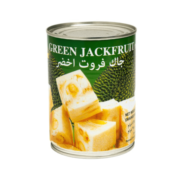 Green Jackfruit in Water (565g)